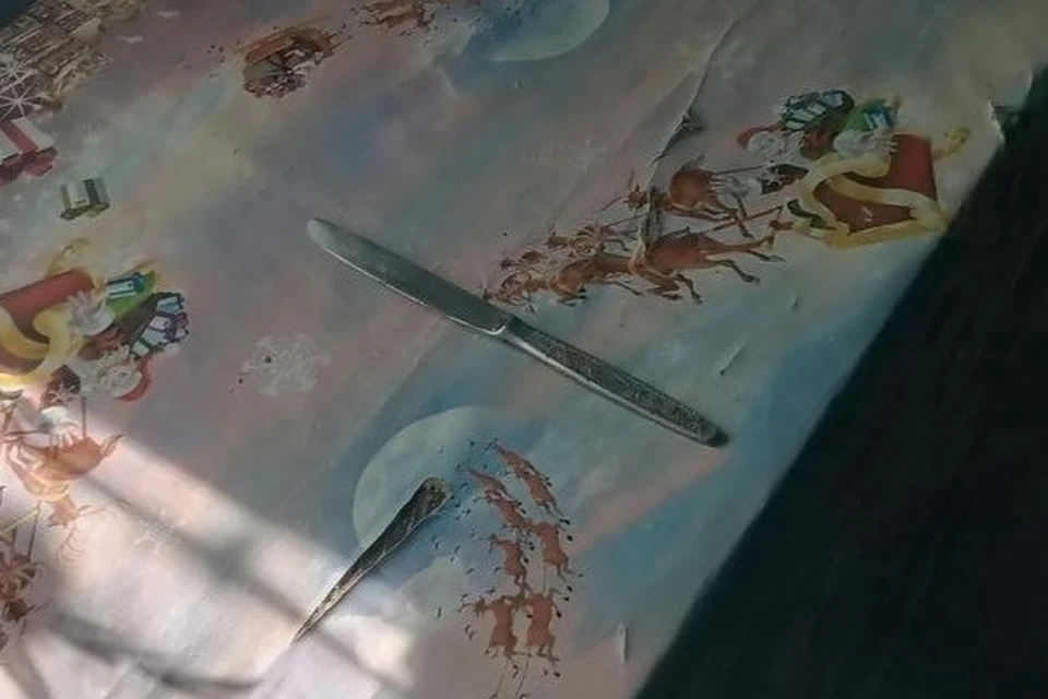 Пенсионерку грозился зарезать этим ножом сосед. Фото: ГУ МВД России по Херсонской области