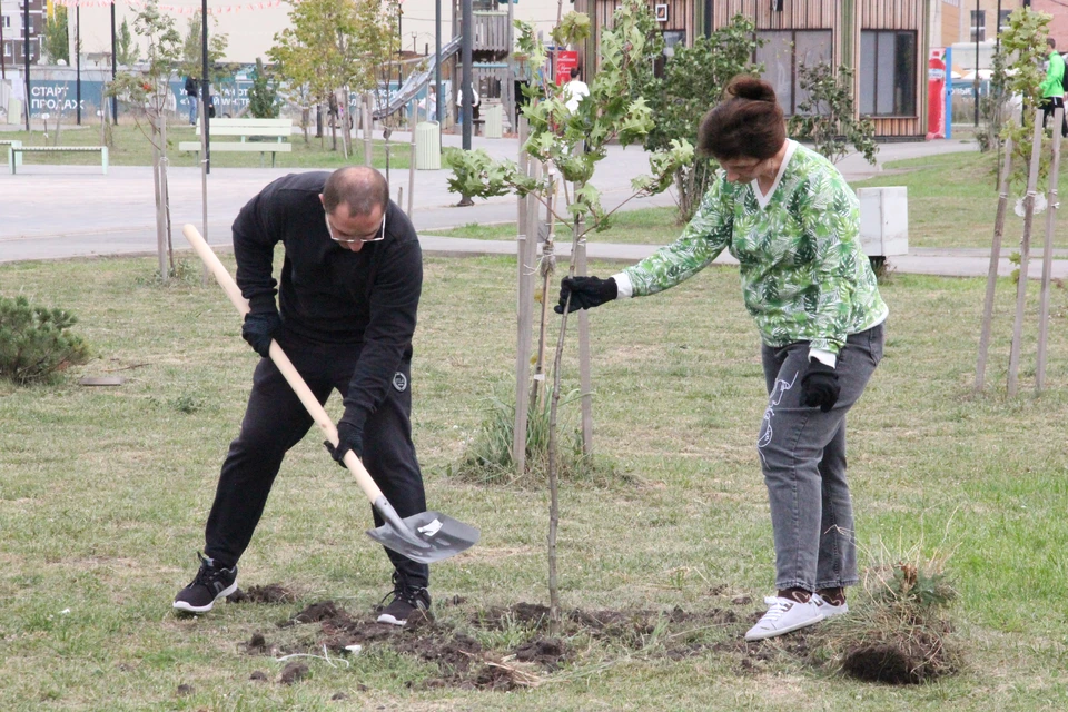 Фото: Владимир КУЛИК.