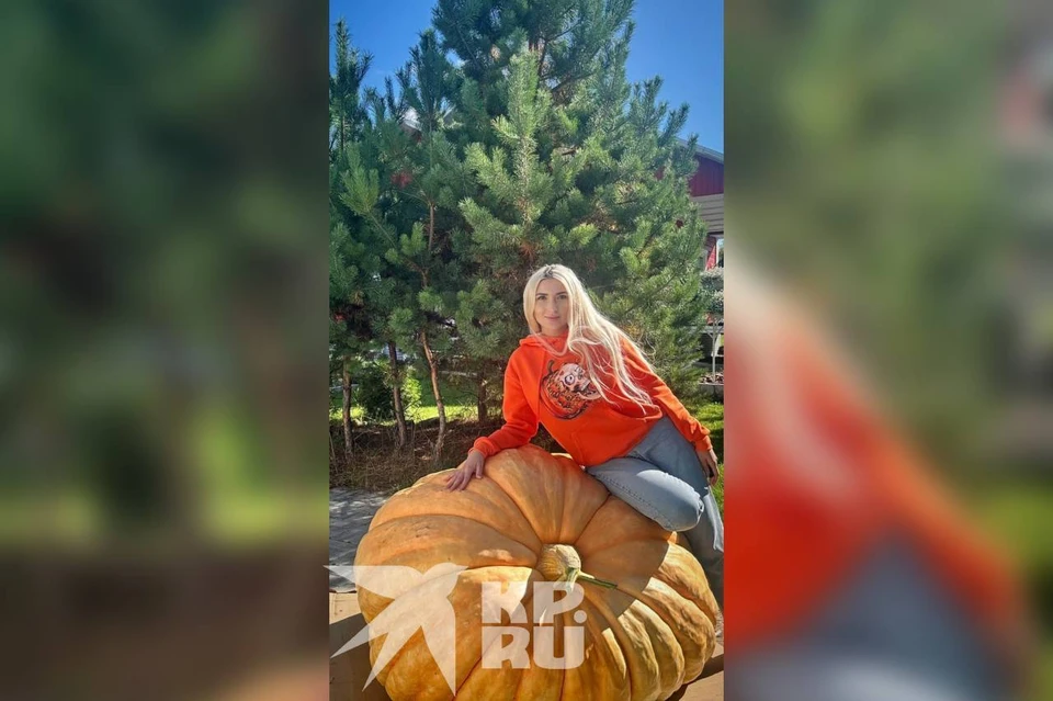 Красноярка Мария Приймак рассказала о тонкостях выращивания тыквы-гиганта. Фото: предоставлено героиней публикации