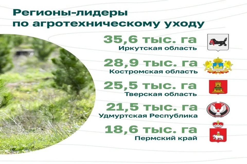 Удмуртия в числе лидеров по агротехническому уходу. Фото: Минприроды Удмуртии