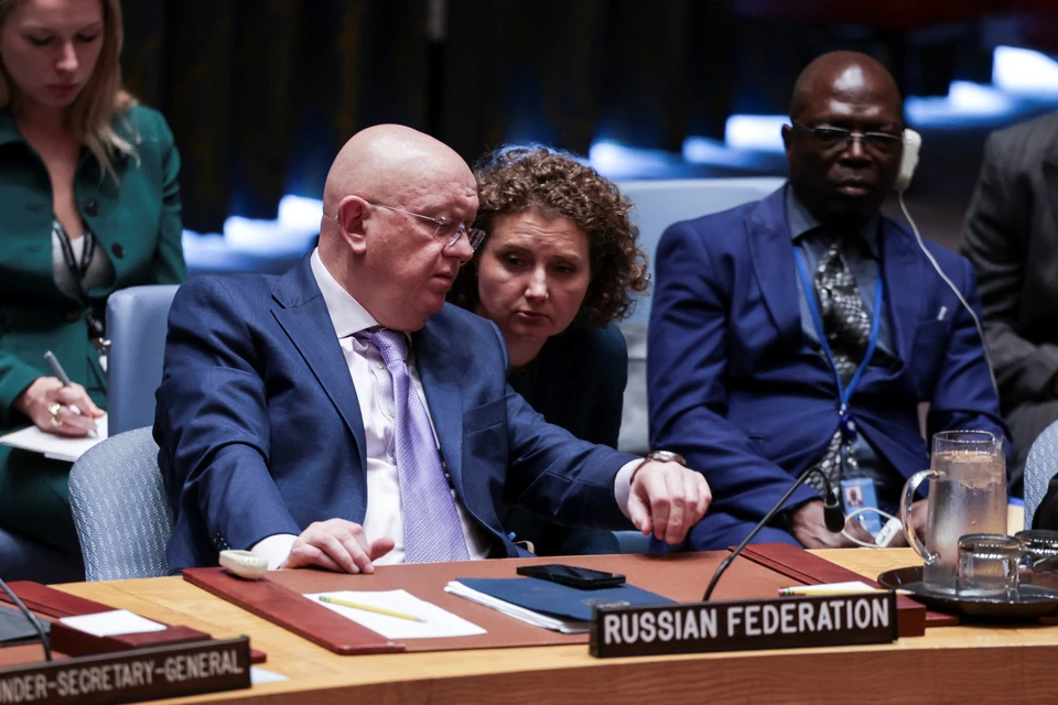 Небензя привел в ярость польскую делегацию на Совбезе ООН: не смогли найти аргументов и опустились до оскорблений
