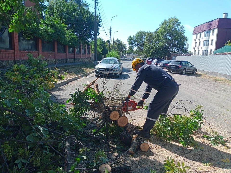 В городе собирают упавшие ветви и даже целые деревья. Фото: пресс-служба администрации Краснодара