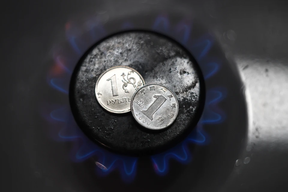 В Новосибирской области восстановлены права ветерана труда на газификацию.