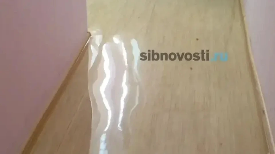 Фото: sibnovosti.ru