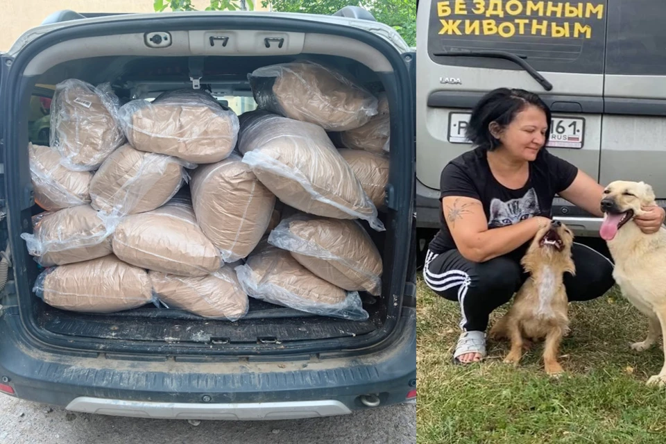 49-летняя Татьяны Янченко из Кагальницкого района Ростовской области уже 15 год своей жизни посвящает спасению животных.