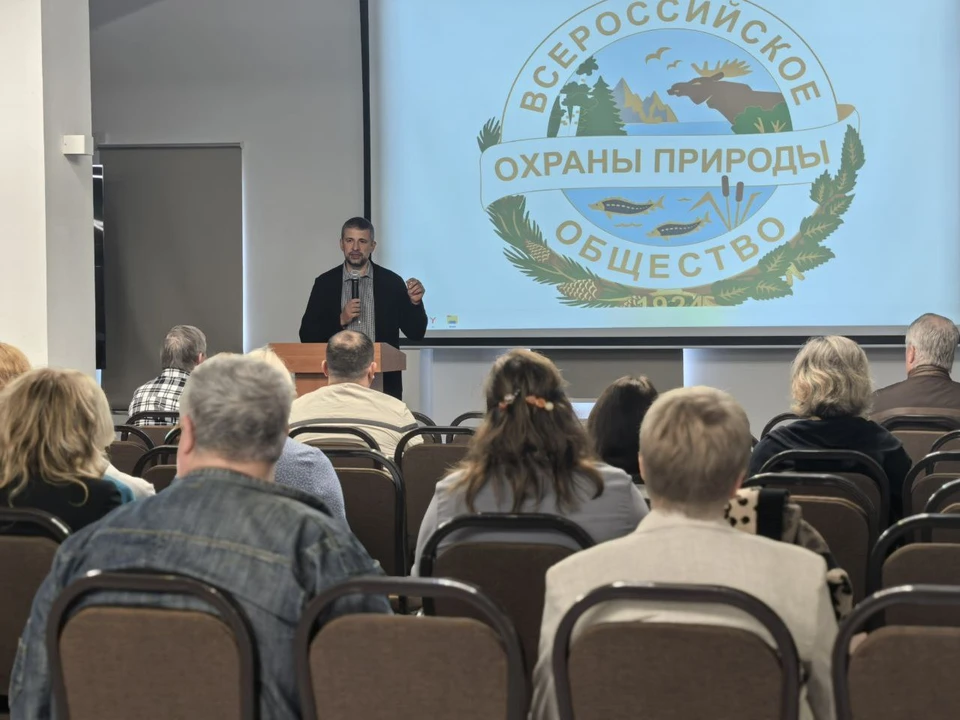 Фото: Анастасия Григорьева, АиФ