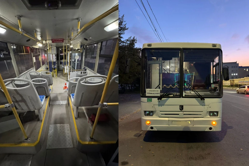 Трехлетний ребенок выпал из коляски, предназначенной для грудничка. Фото: ГАИ по Новосибирской области