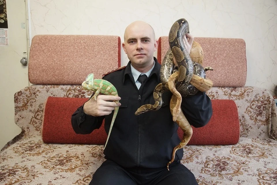 Андрей Князев был известен тем, что держал дома около 40 необычных питомцев.