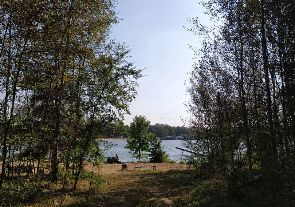 Лес в Беларуси занимает почти половину территории страны. Фото: архив КП