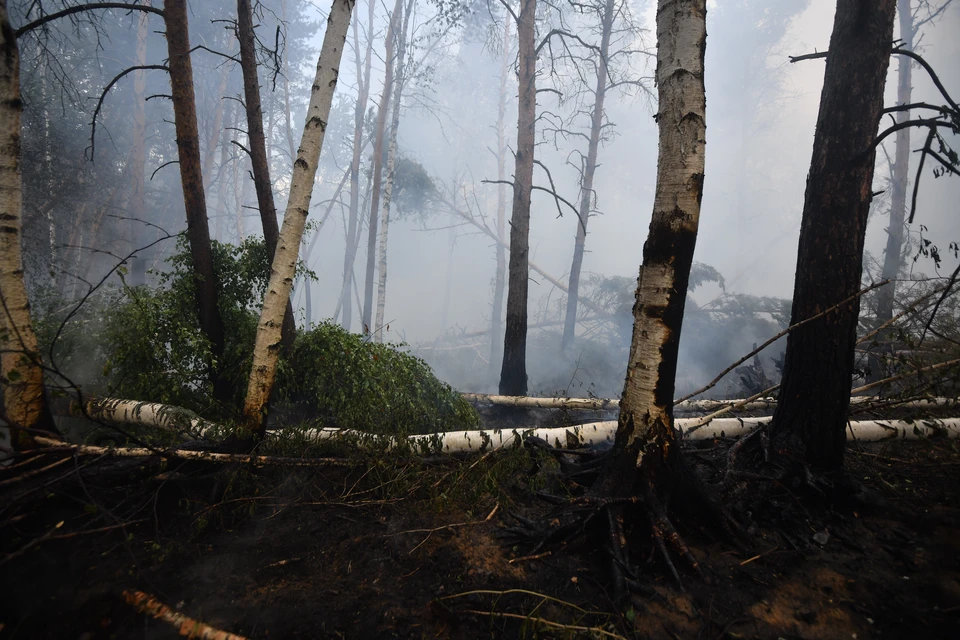 83 пожара произошли в Нижегородской области за неделю