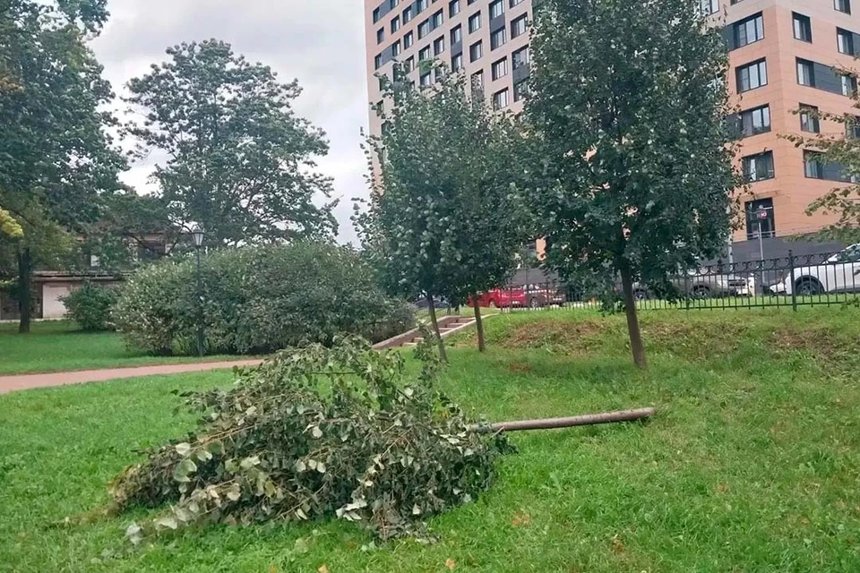 Желтый уровень погодной опасности продлили до 00:00 23 сентября. Фото: Комблаг