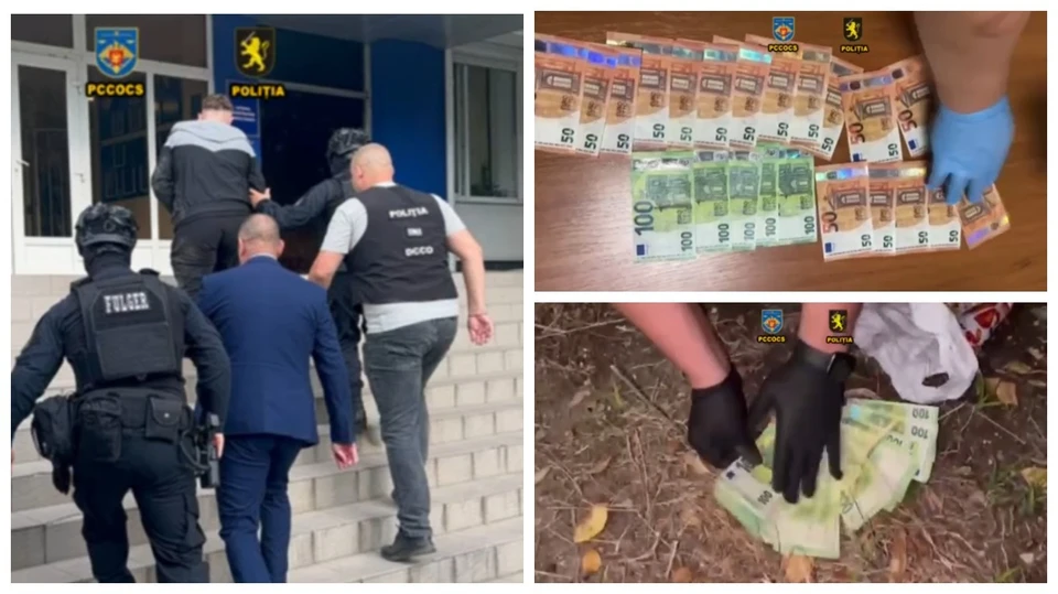 Организованная группа сбывала фальшивые евро в столице и регионах. Фото: коллаж КП