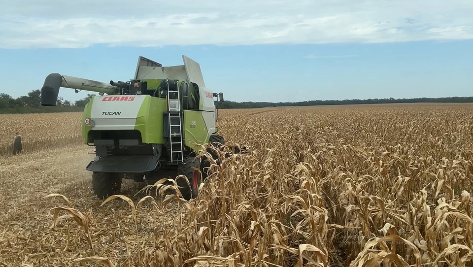 Фото: минсельхоз Ставрополья