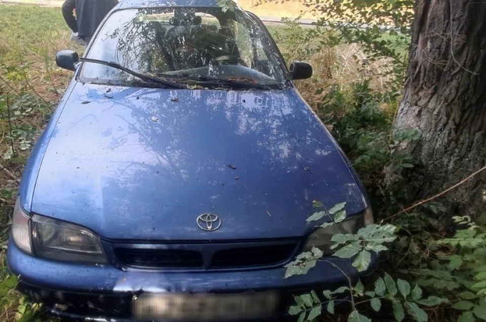 65-летний водитель не справился с управлением и врезался в дерево. Фото: ГАИ СК.