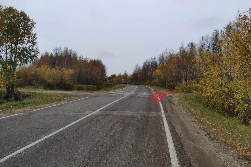 Фото: Госавтоинспекция Коми