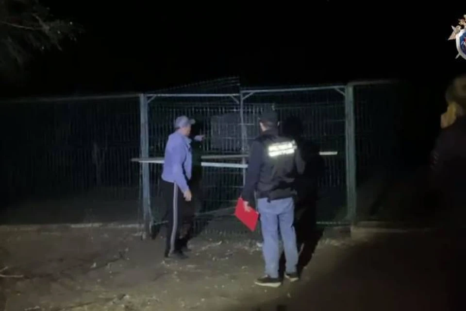 Отдых вдруг прервал резкий крик.