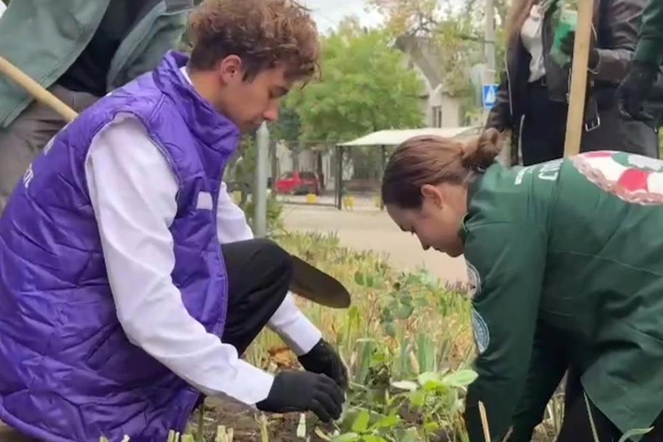 В ДНР студенческие отряды высадили более тысячи роз, заложив «Аллею памяти». Фото: РСО в ДНР