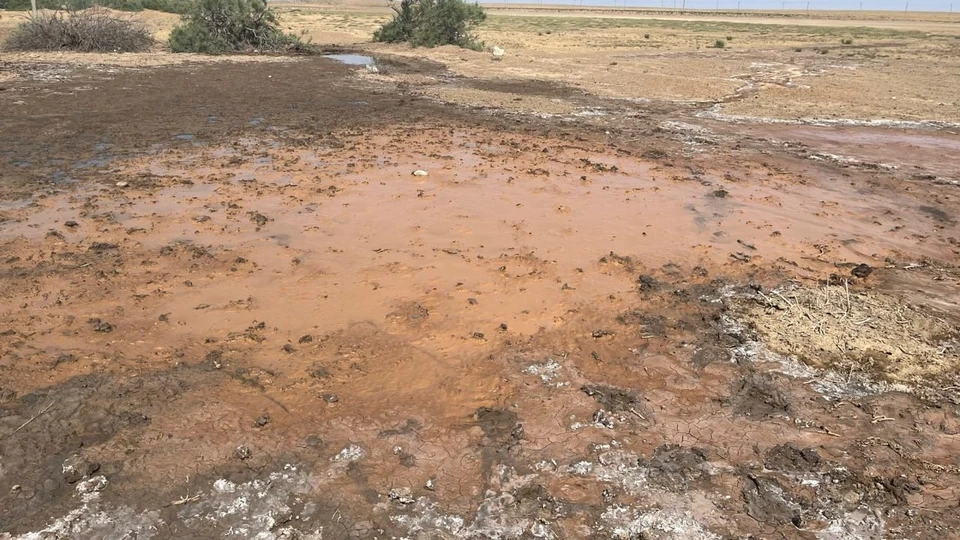 Фото: Нижне-Волжское Управление-Росприроднадзора