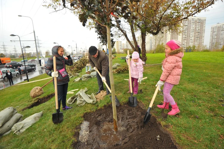 Конкурс «КП-Самара»: прокачай свою экологическую команду