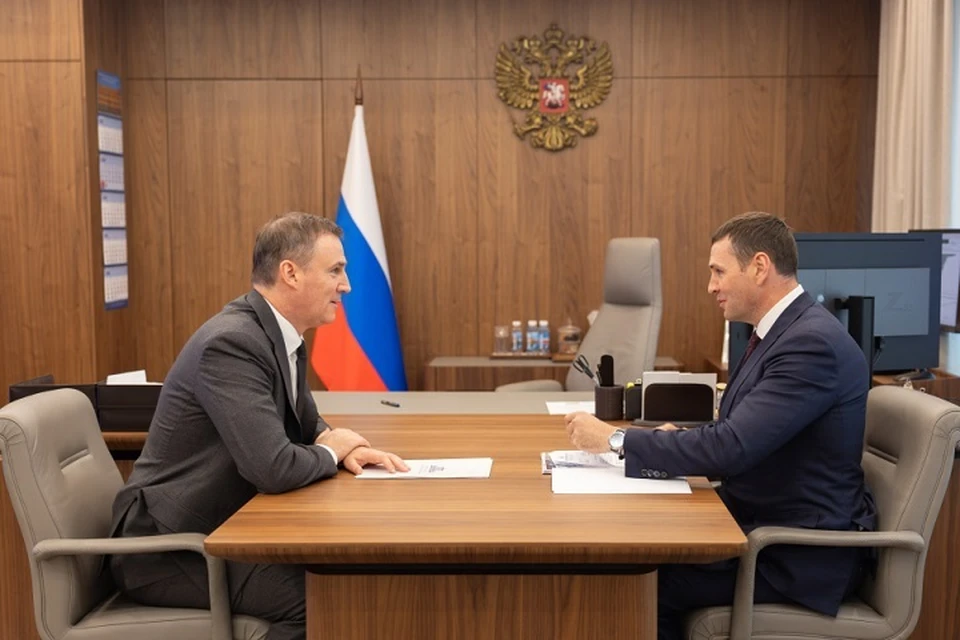 Дмитрий Демешин рассказал Дмитрию Патрушеву о строительстве хабаровской дамбы. Фото: government.ru