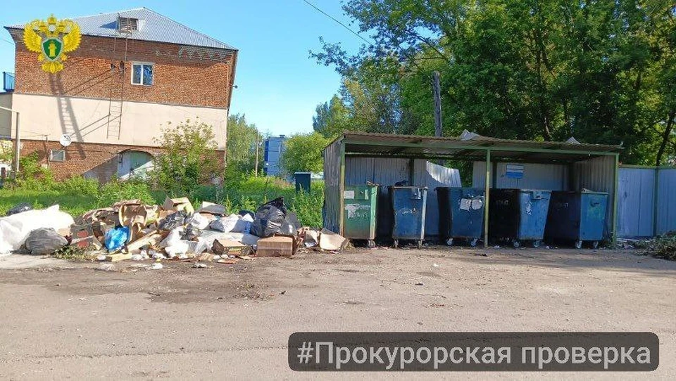 Прокуратура выявила несанкционированную свалку в посёлке Куркино.