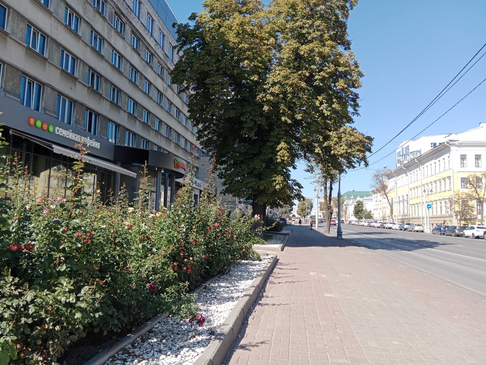 В субботу в Курской области будет тепло