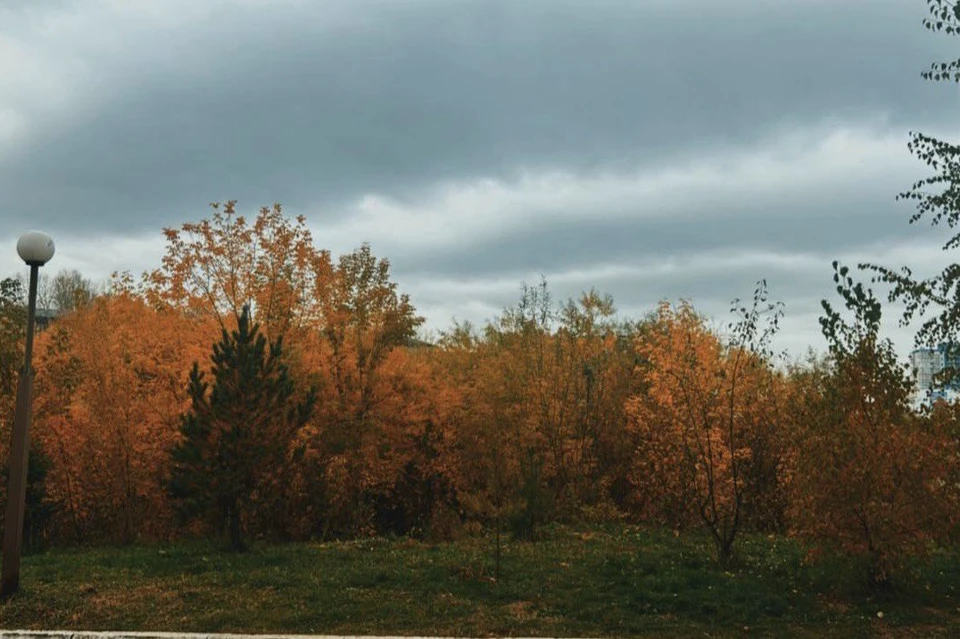 +3 градуса и снег ожидается в Иркутске 6 октября.