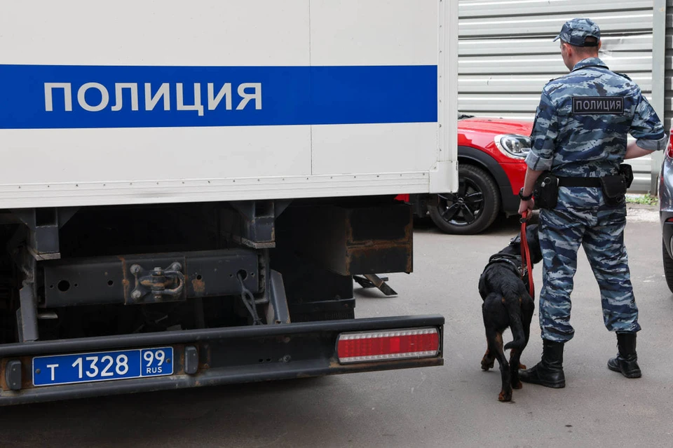 На поиски пропавшей в тайге под Красноярском семьи Усольцевых вышли кинологи