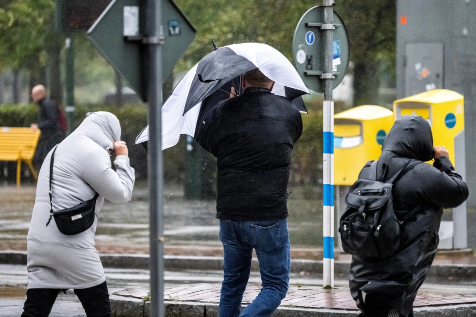 Сирены тревоги неожиданно взвыли в Гамбурге: вот что случилось