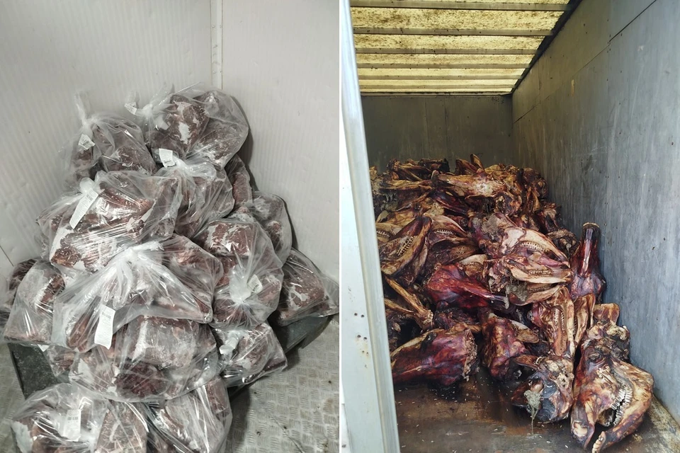 При проверке нашли нарушения в работе переработчика мяса, предприятие которого по итогу закрыли. Фото: КГК.
