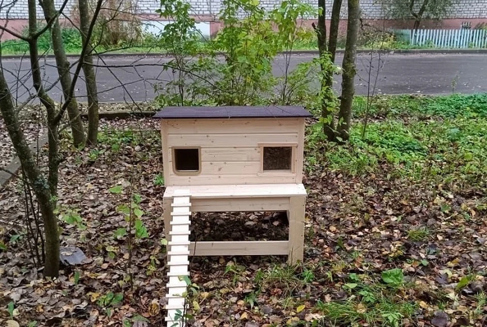 Вот такая "недвижимость" появилась в Калязине. Фото: VK|группа "Подслушано в Калязине"