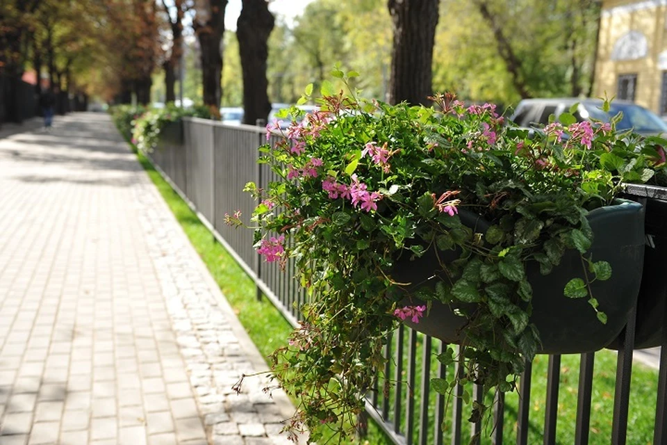 В Хабаровске готовят городские клумбы к зиме