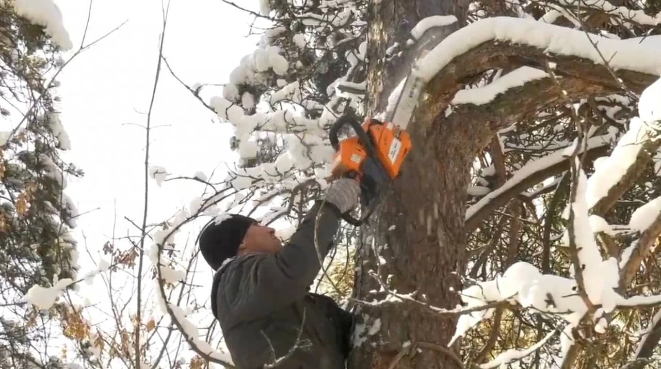 Фото: администрация города Кемерово.
