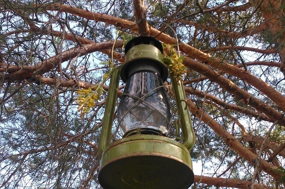 Земельный участок не обеспечен инженерно-техническими коммуникациями. Фото: Екатерина ИЛЬИНА