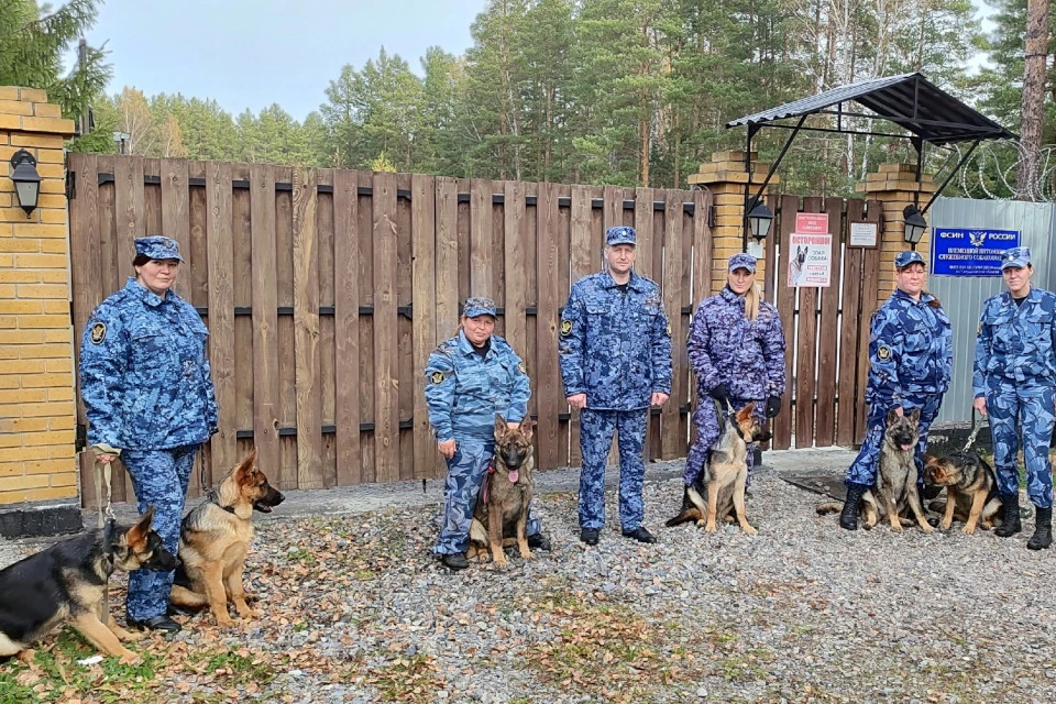 Этот щенячий патруль станет серьёзной охраной. Фото: ГУФСИН России по Свердловской области