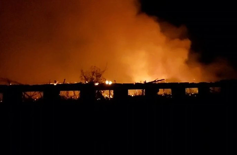 Заброшенная ферма сгорела в Нижегородской области.