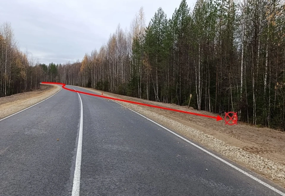 Фото: Госавтоинспекция Коми