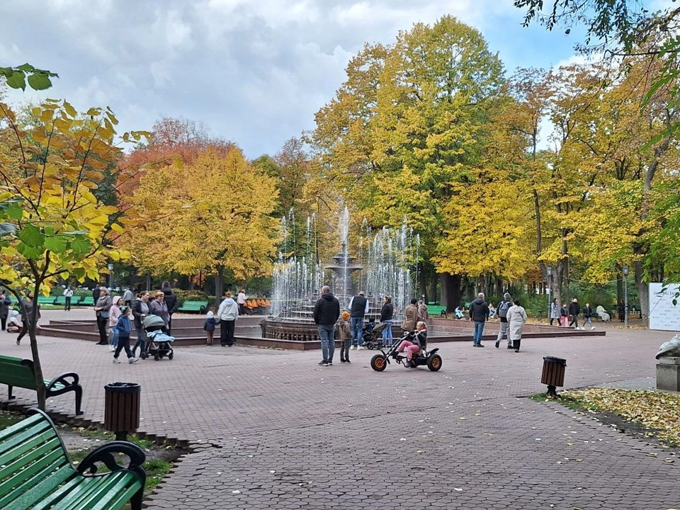 Настоящая осень в Молдове. Фото: КП в Молдове
