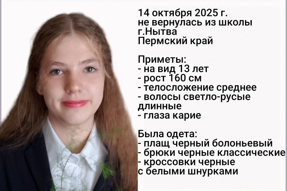 Фото: "Прикамье Поиск"