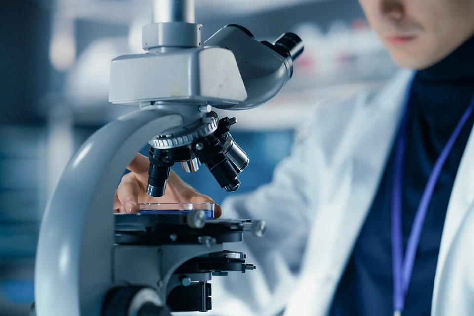 Фото: Gorodenkoff/Shutterstock/Fotodom