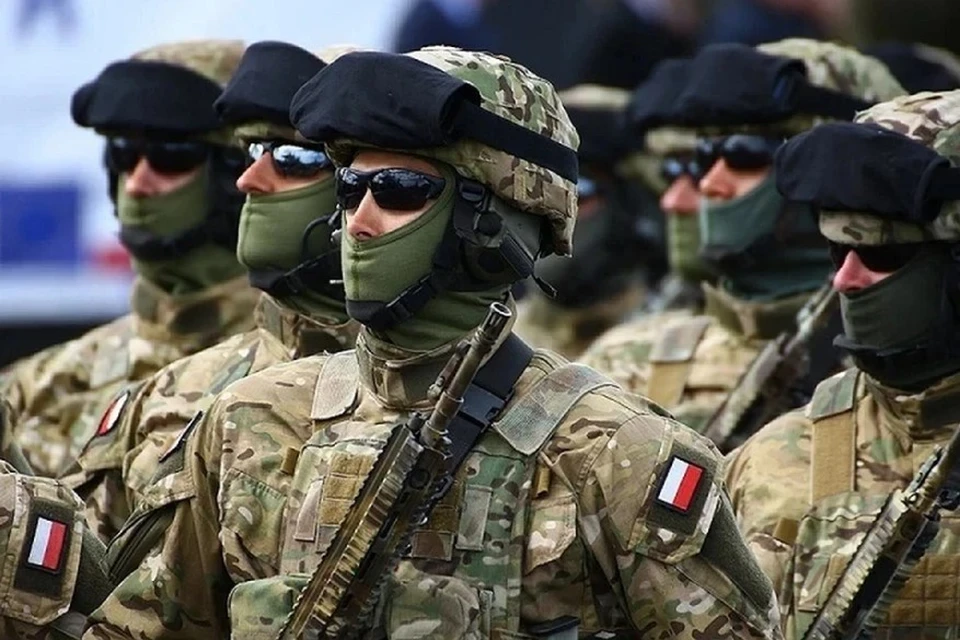 Onet: В Польше на свалке нашли сотни секретных документов Минобороны