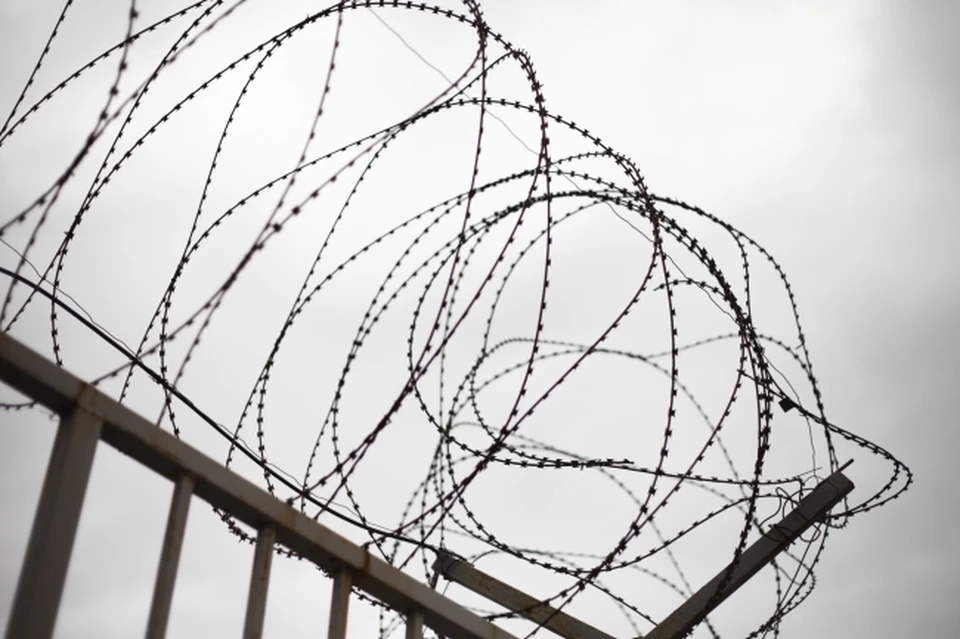 Суд приговорил женщину к 15 годам лишения свободы в колонии строгого режима.