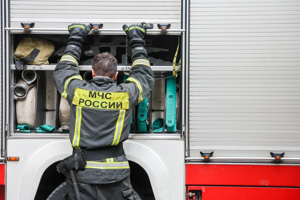 На острове Русский потушили пожар площадью около тысячи кв. метров