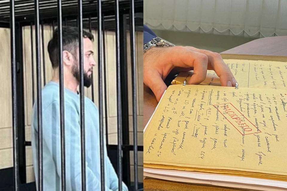 Фархода Рахимзоду поймали в начале 2024 года. Фото: Мария НОВИКОВА // Дарья СИДОРЕНКО