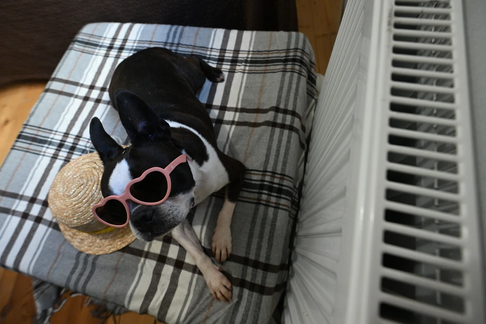 К теплоснабжению подключено уже 3/4 домов Владивостока.