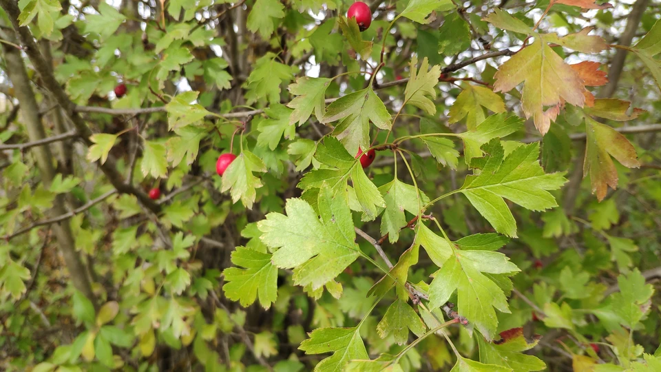 Осень в Крыму