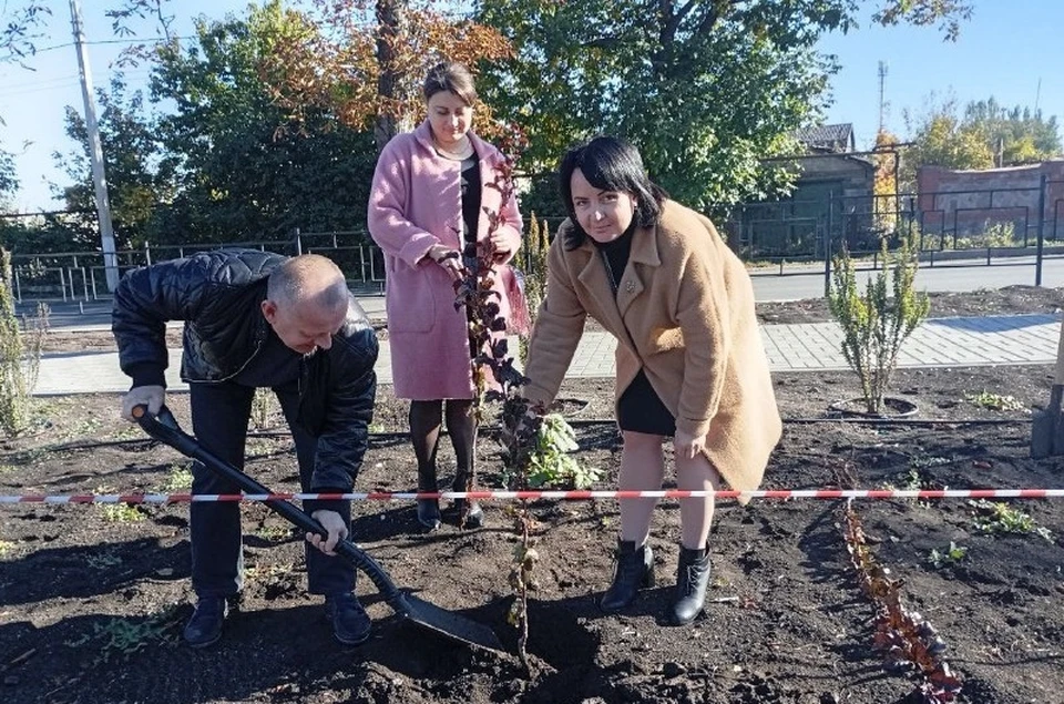 Багряный сад должен стать местом, куда люди смогут прийти, чтобы вспомнить о подвиге отцов и дедов, местом размышлений и надежды на будущее. Фото: Совет женщин Волновахского округа