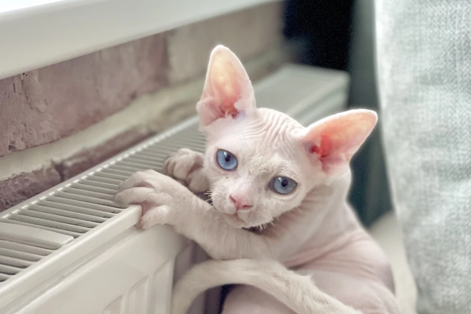 Херсонская область готова к отопительному сезону на 96 процентов Фото: Гареева Гузэля