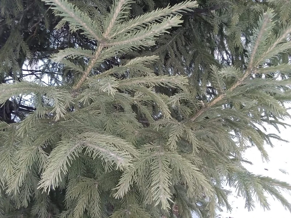 Погода на Ямале на 22 октября