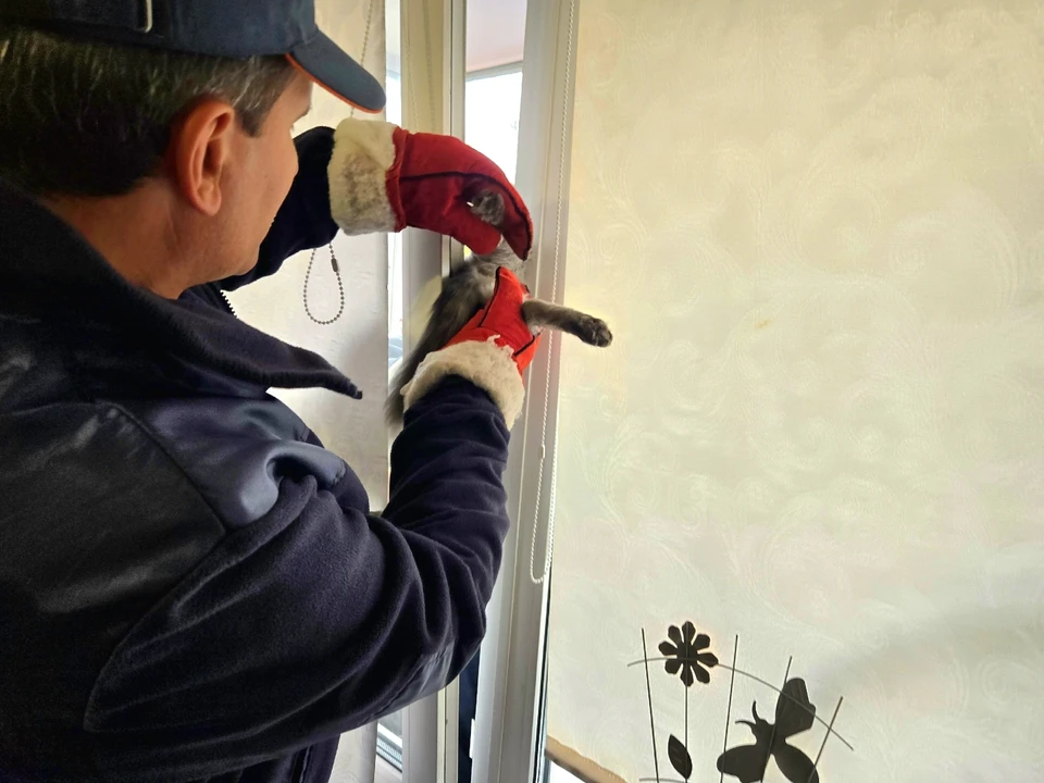 Фото: УГОиЧС города Челябинска